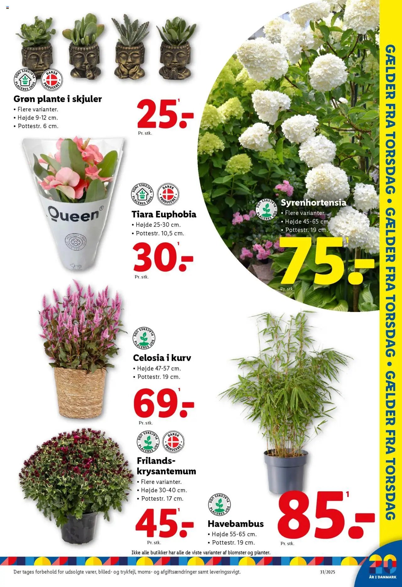Lidl - Tilbudsavis (2025-07-27 - 2025-08-02)