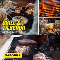 Harald Nyborg - Grill 2025 (2025-04-18 - 2025-12-31)