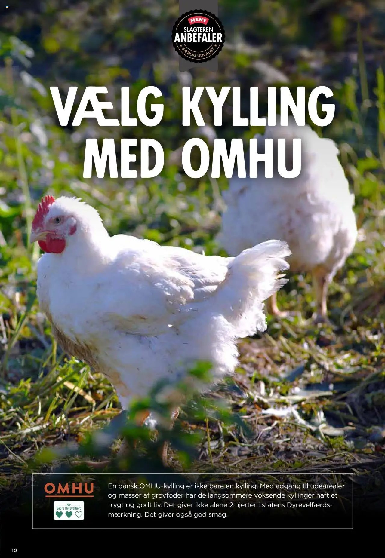 Meny - Tilbudsavis (2025-07-25 - 2025-07-31)
