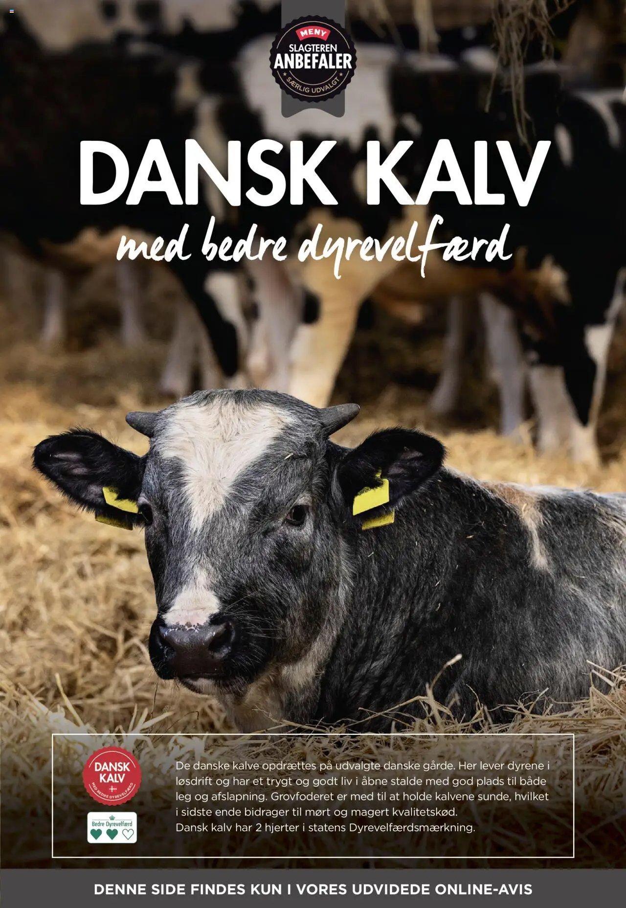 Meny - Tilbudsavis (2025-08-01 - 2025-08-07)