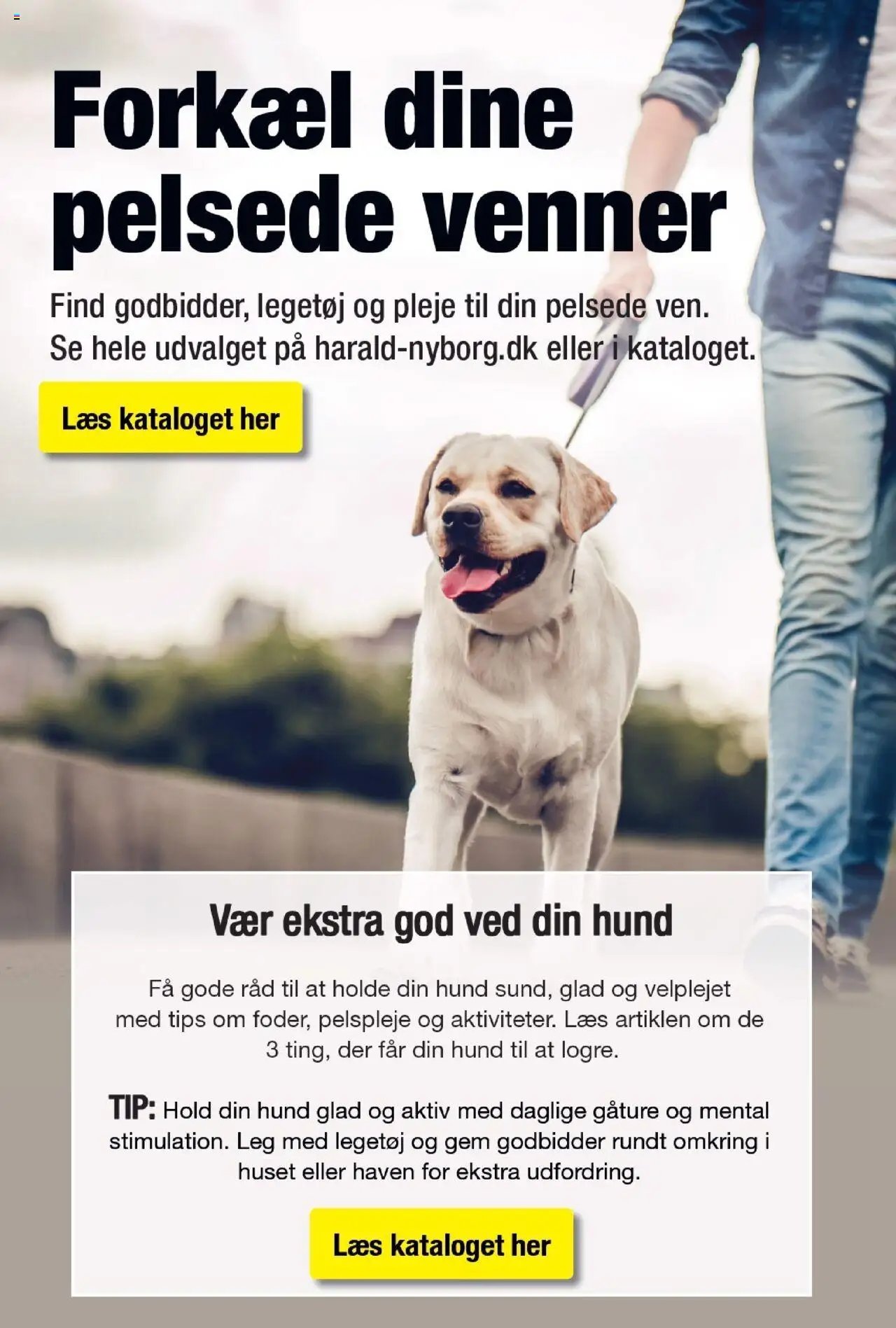 Harald Nyborg - Tilbudsavis (2025-07-17 - 2025-07-23)