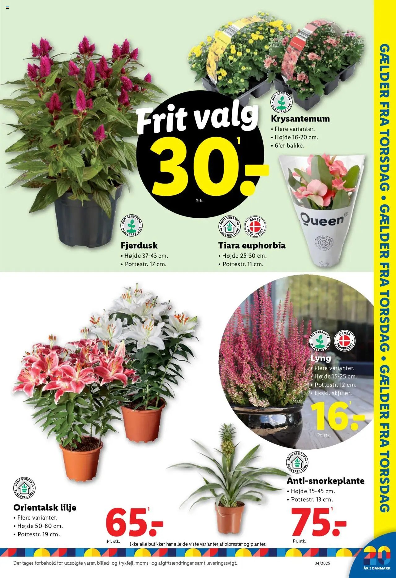 Lidl - Tilbudsavis (2025-08-17 - 2025-08-23)