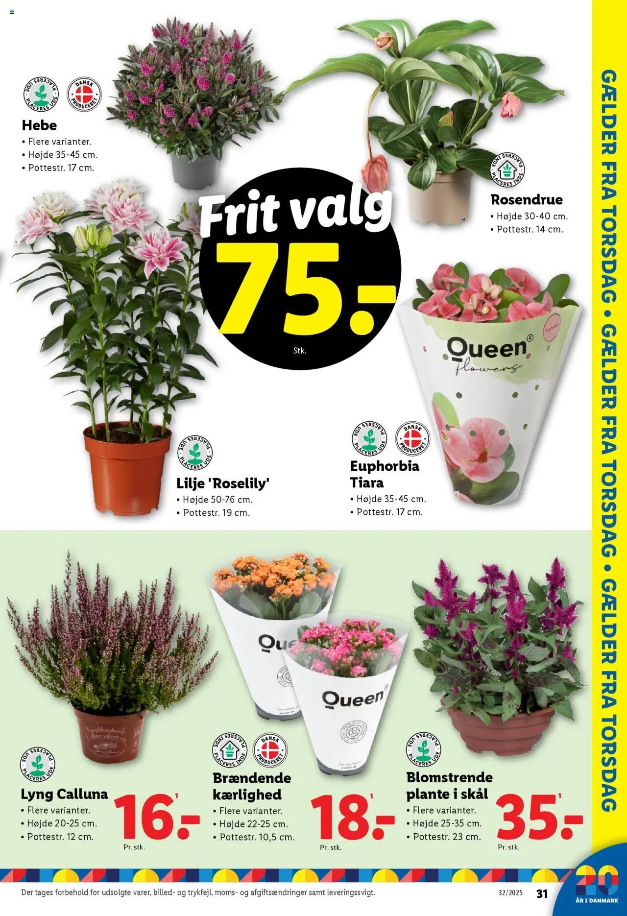 Lidl - Tilbudsavis (2025-08-03 - 2025-08-09)