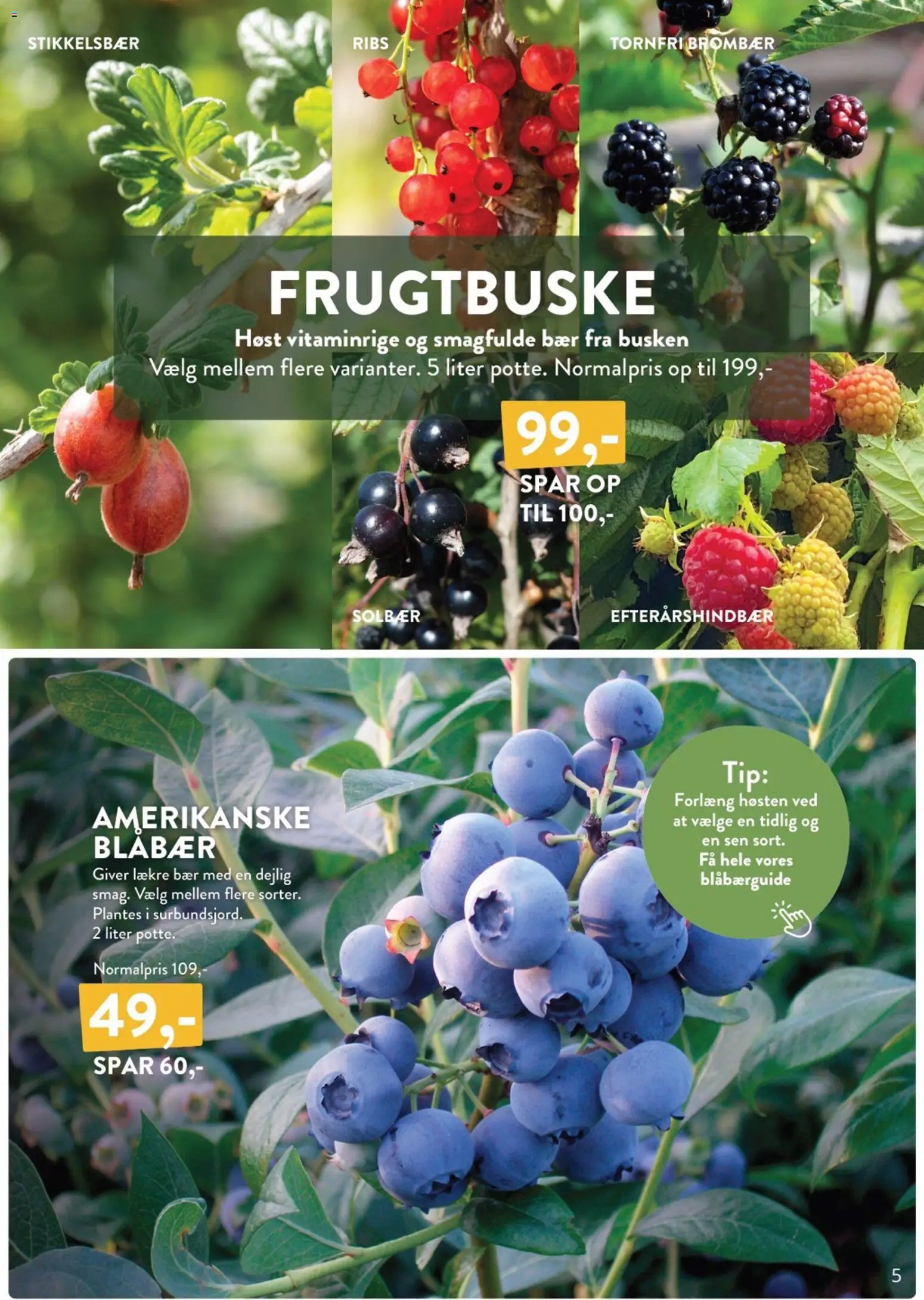 Plantorama - Tilbudsavis