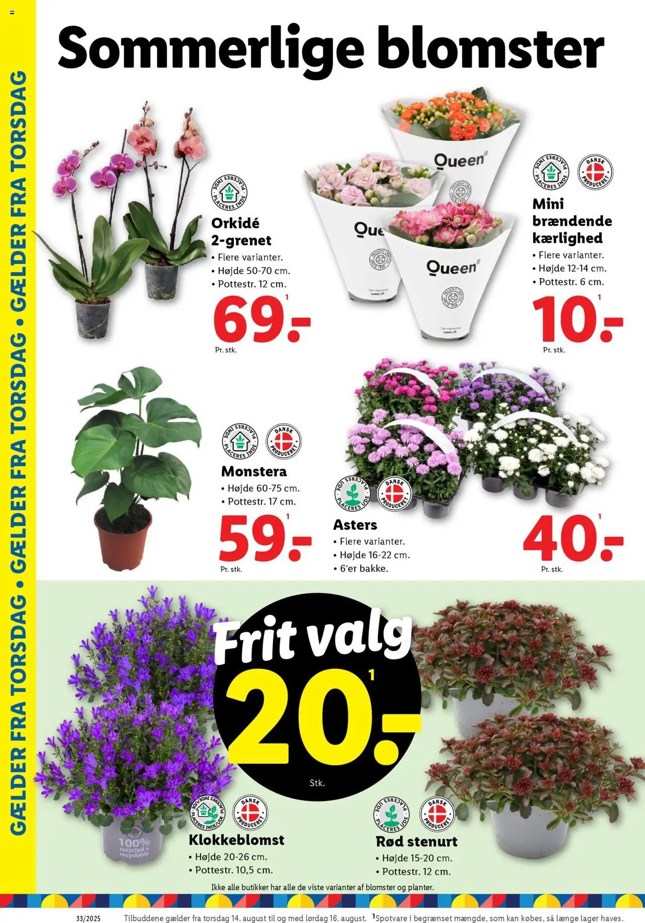 Lidl - Tilbudsavis (2025-08-10 - 2025-08-16)