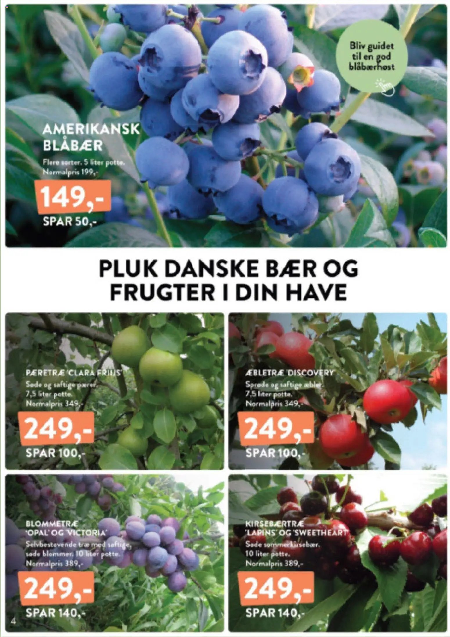 Plantorama - Tilbudsavis