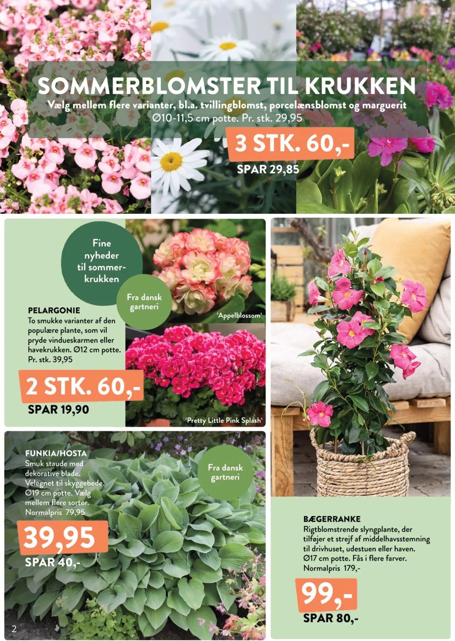 Plantorama - Tilbudsavis