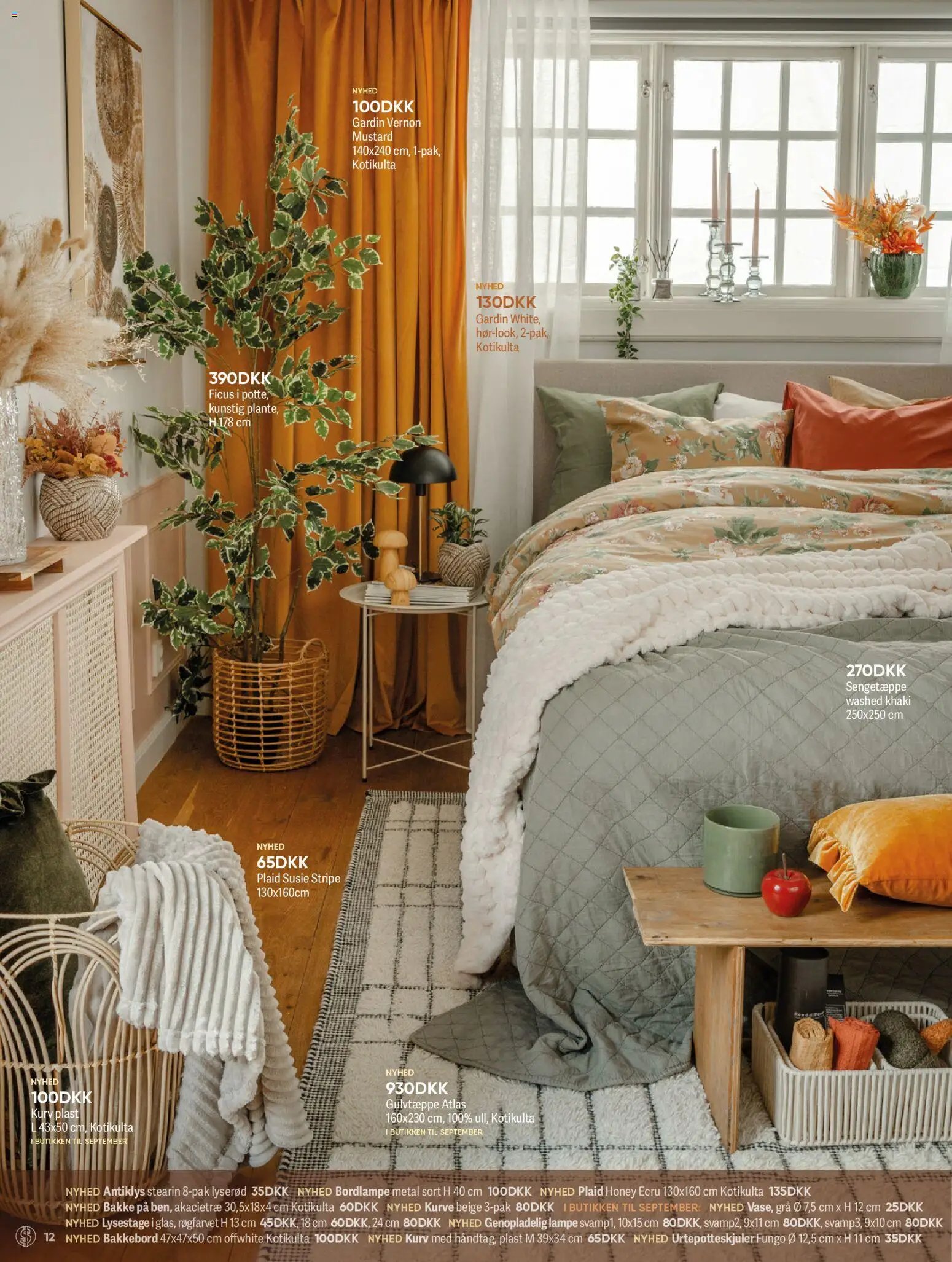 Bigdollar - Inspirations magasin