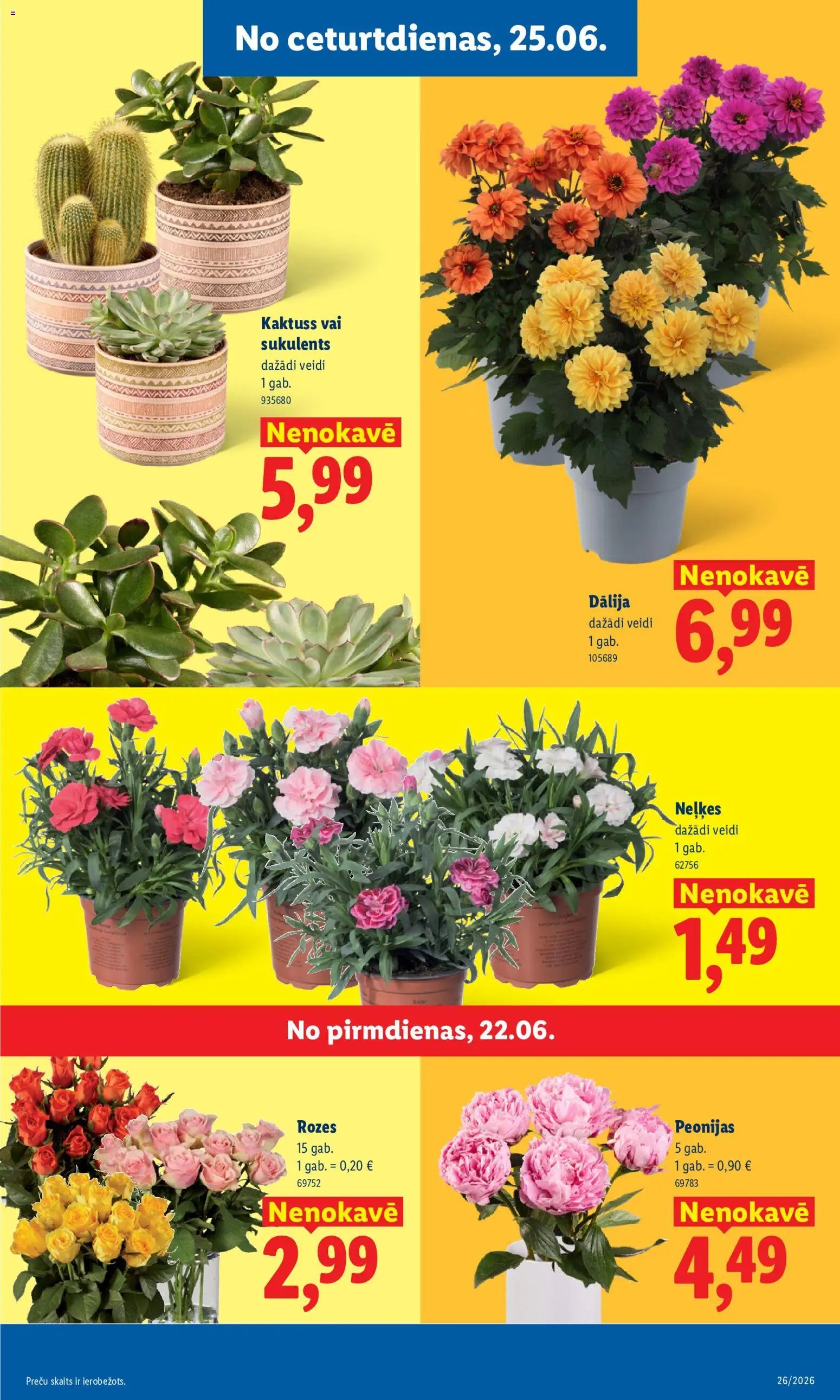 Lidl Kliendileht