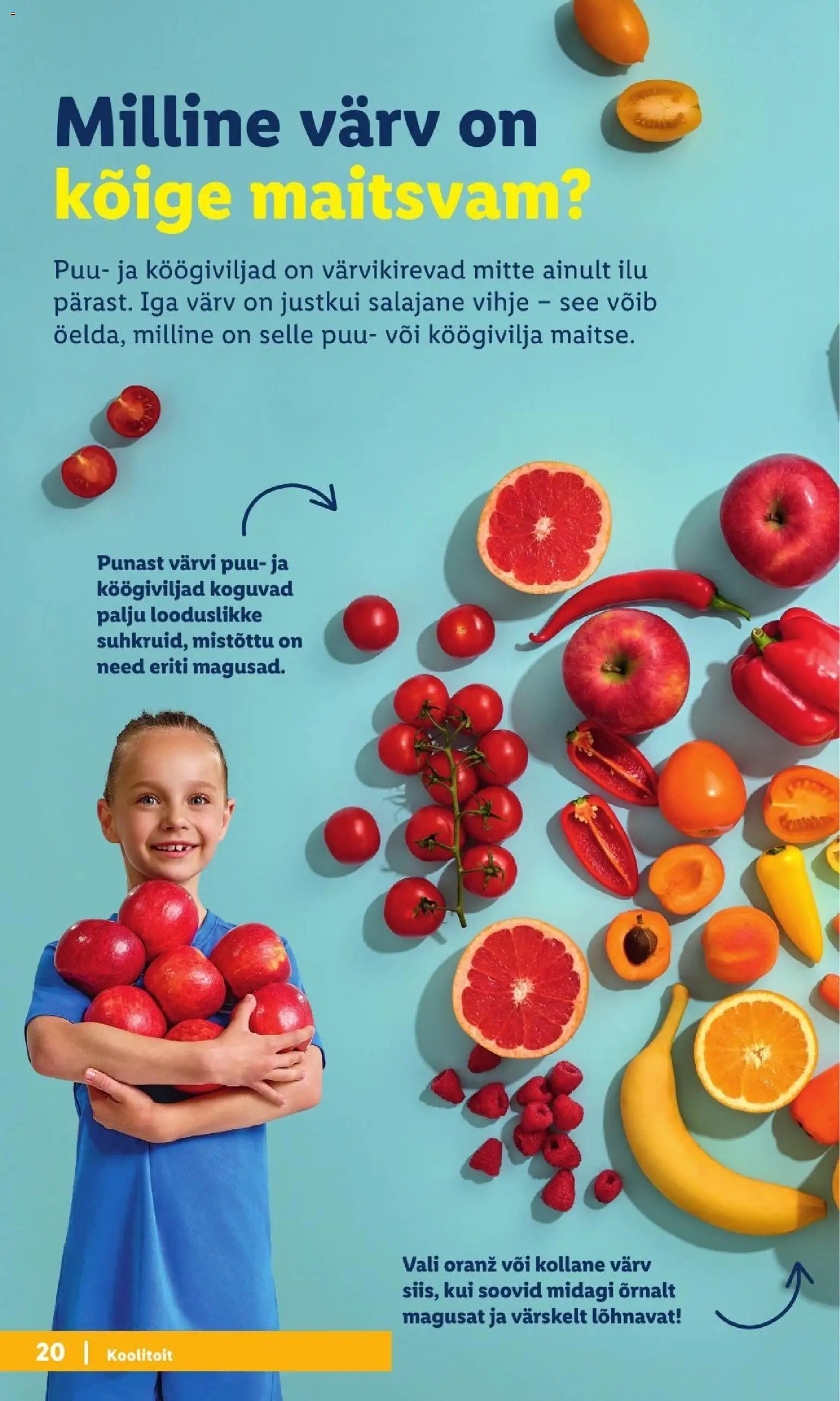 Lidl Koolitarvete kataloog 2026