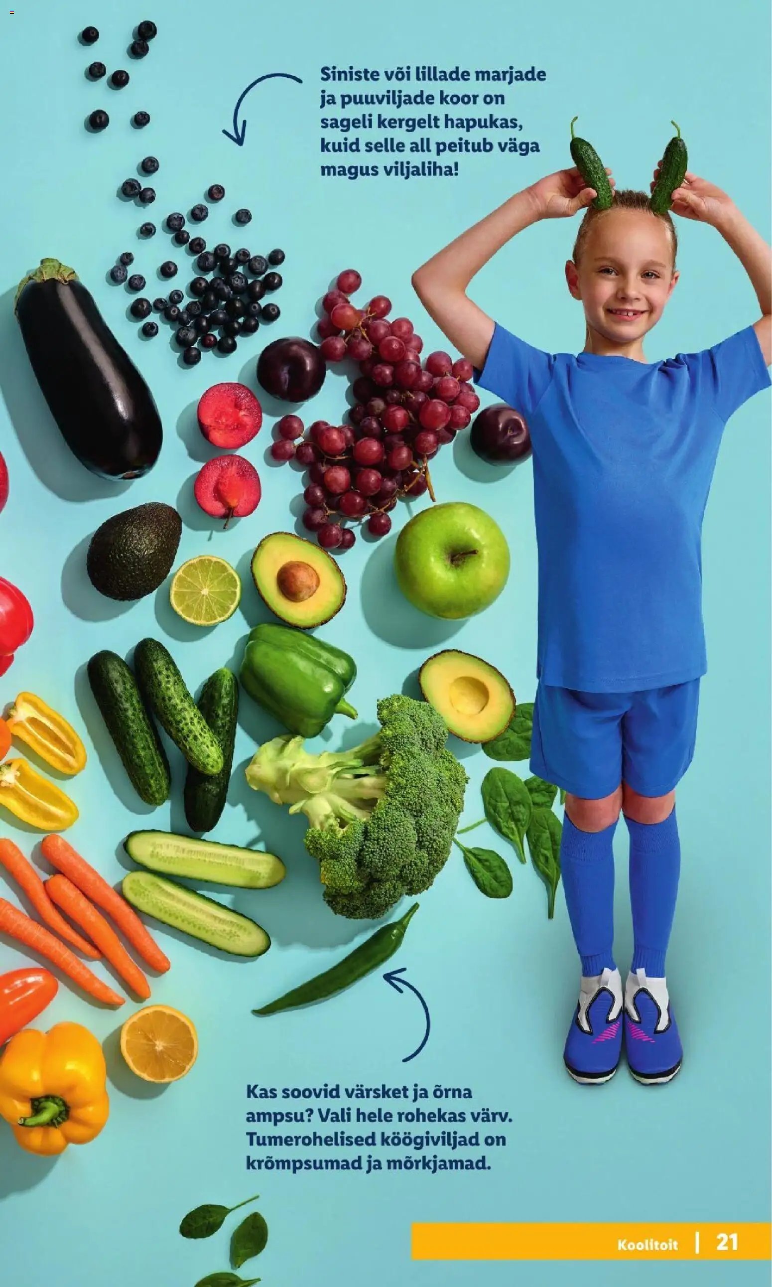 Lidl Koolitarvete kataloog 2026