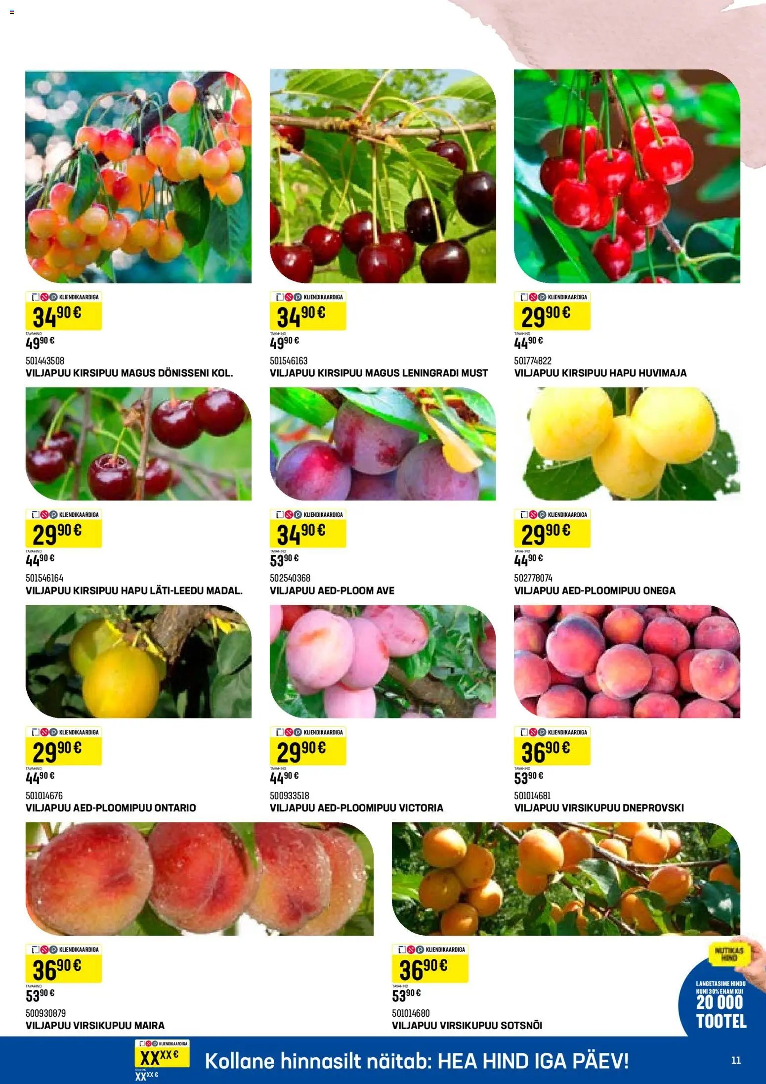 K-Rauta Taimede lood