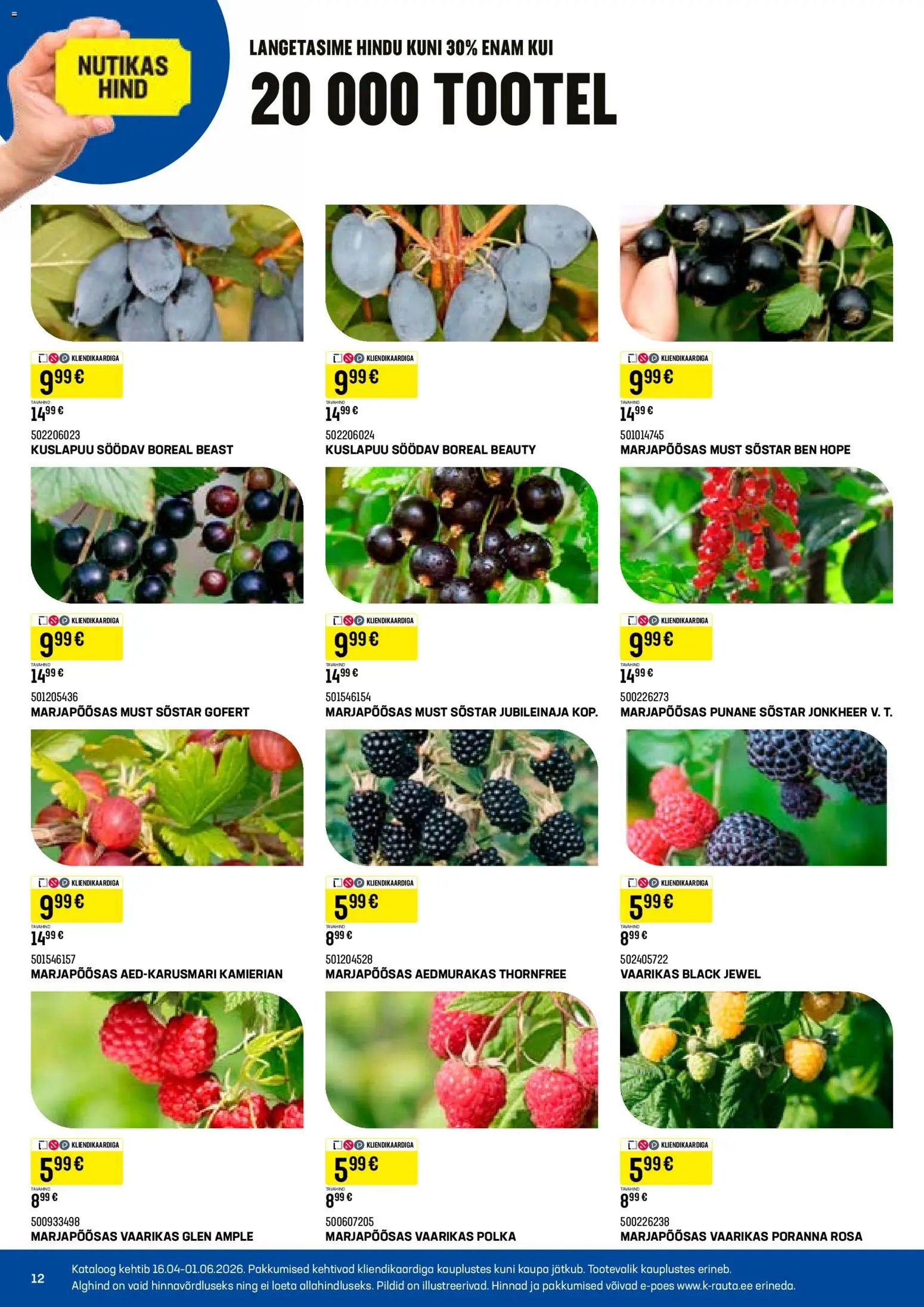 K-Rauta Taimede lood