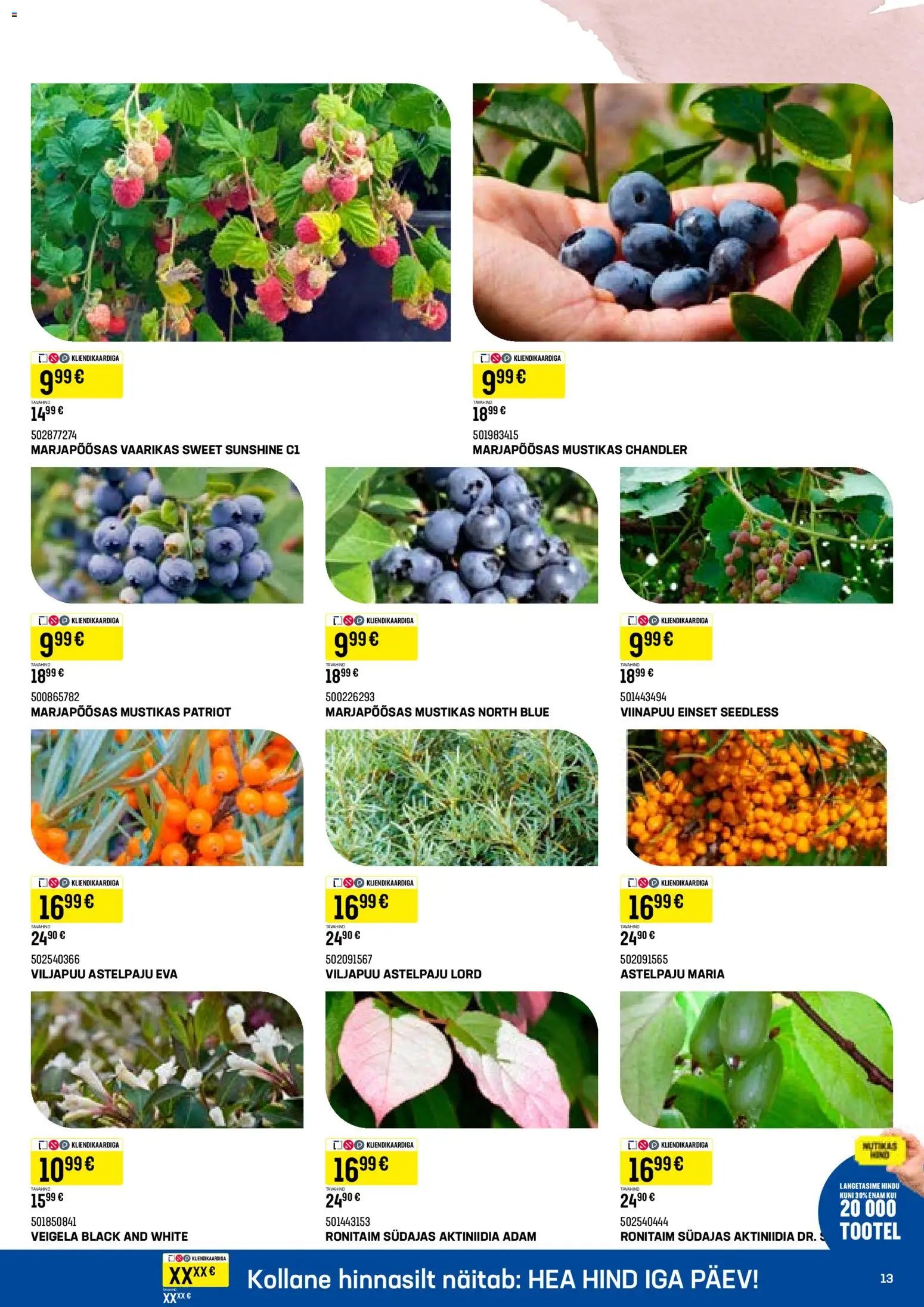 K-Rauta Taimede lood