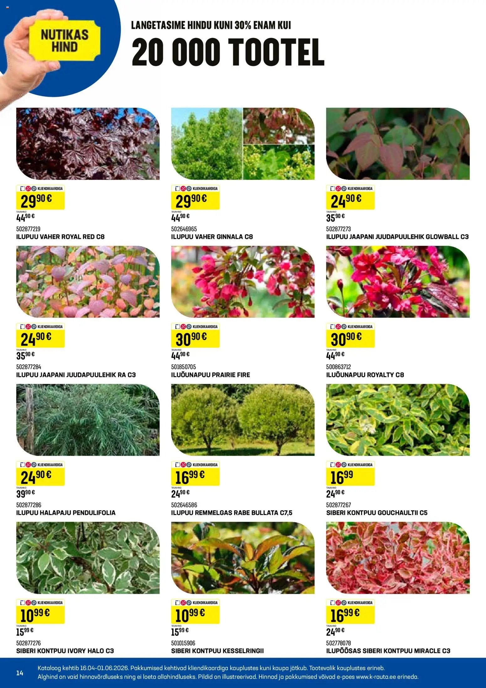 K-Rauta Taimede lood