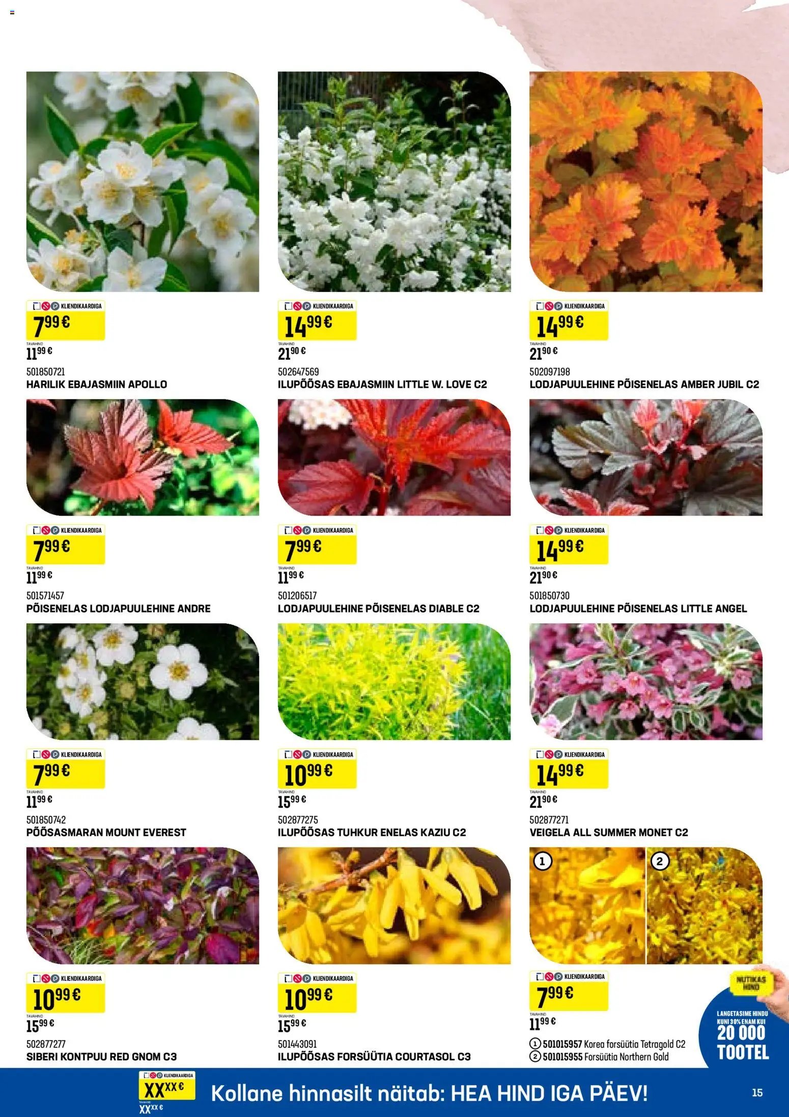 K-Rauta Taimede lood