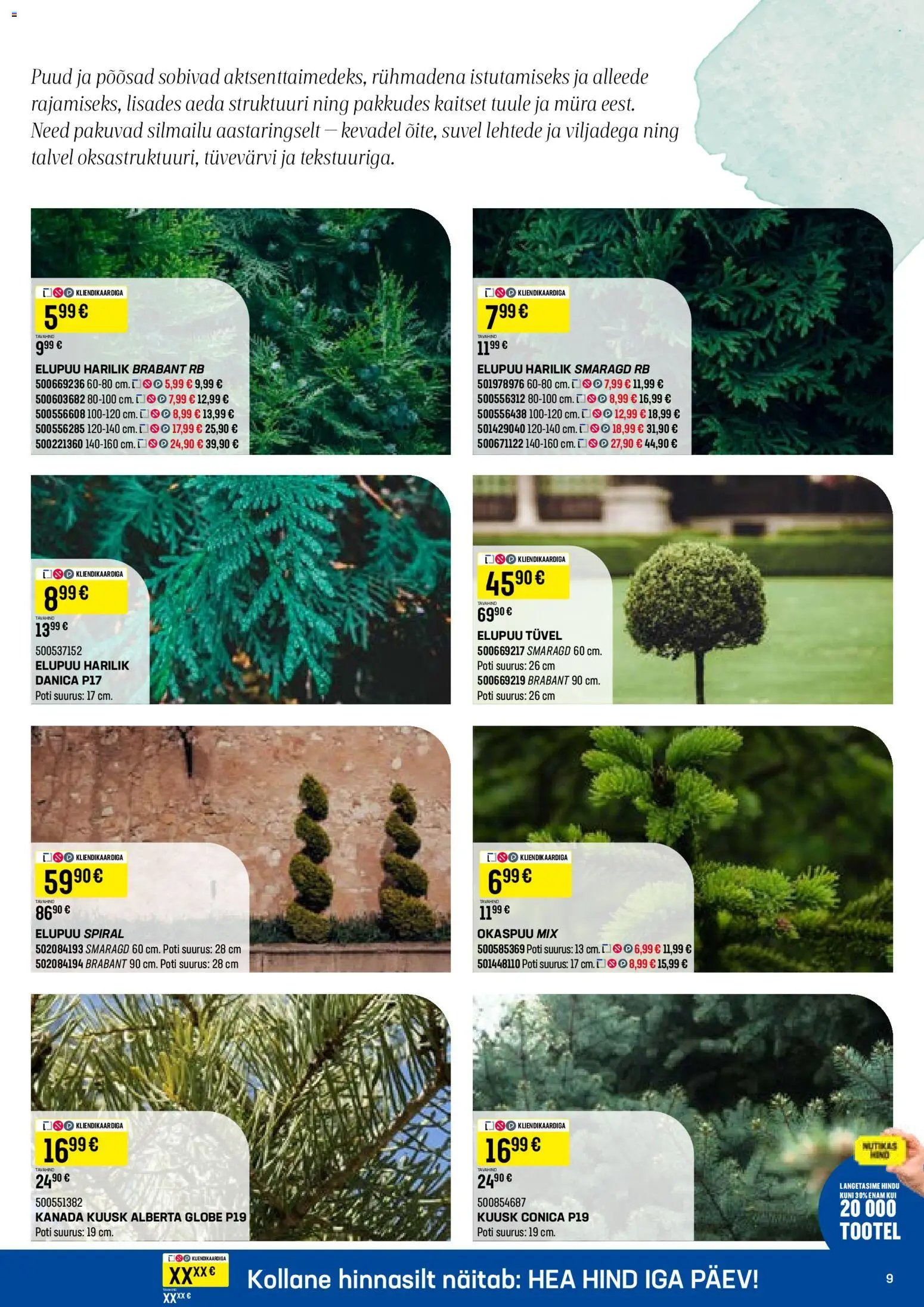 K-Rauta Taimede lood