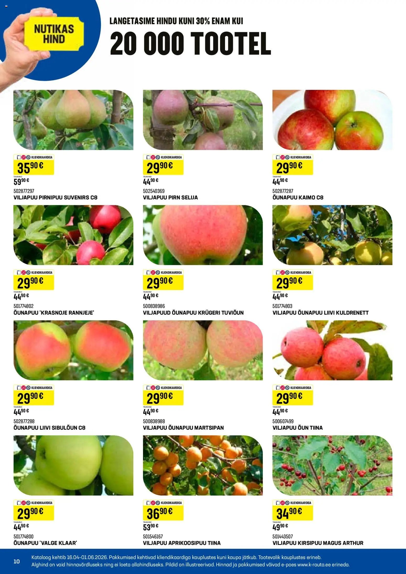 K-Rauta Taimede lood