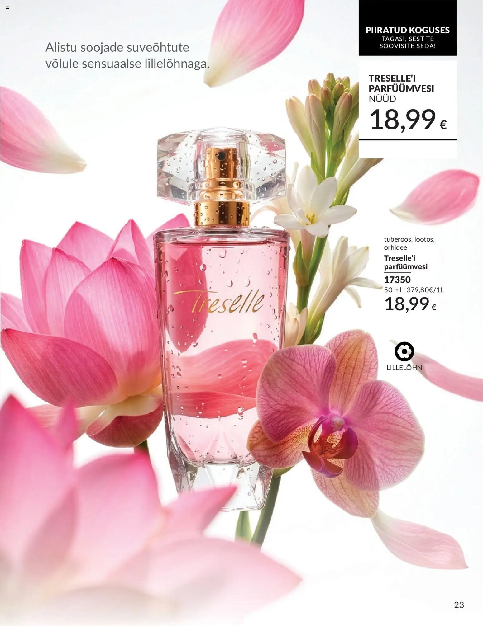 AVON Juuni kataloog
