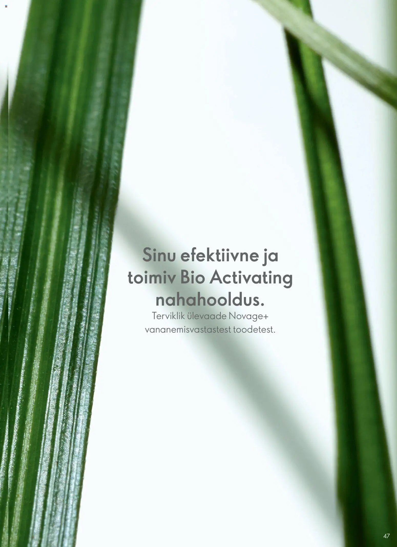 Oriflame Novage+ tootejuht
