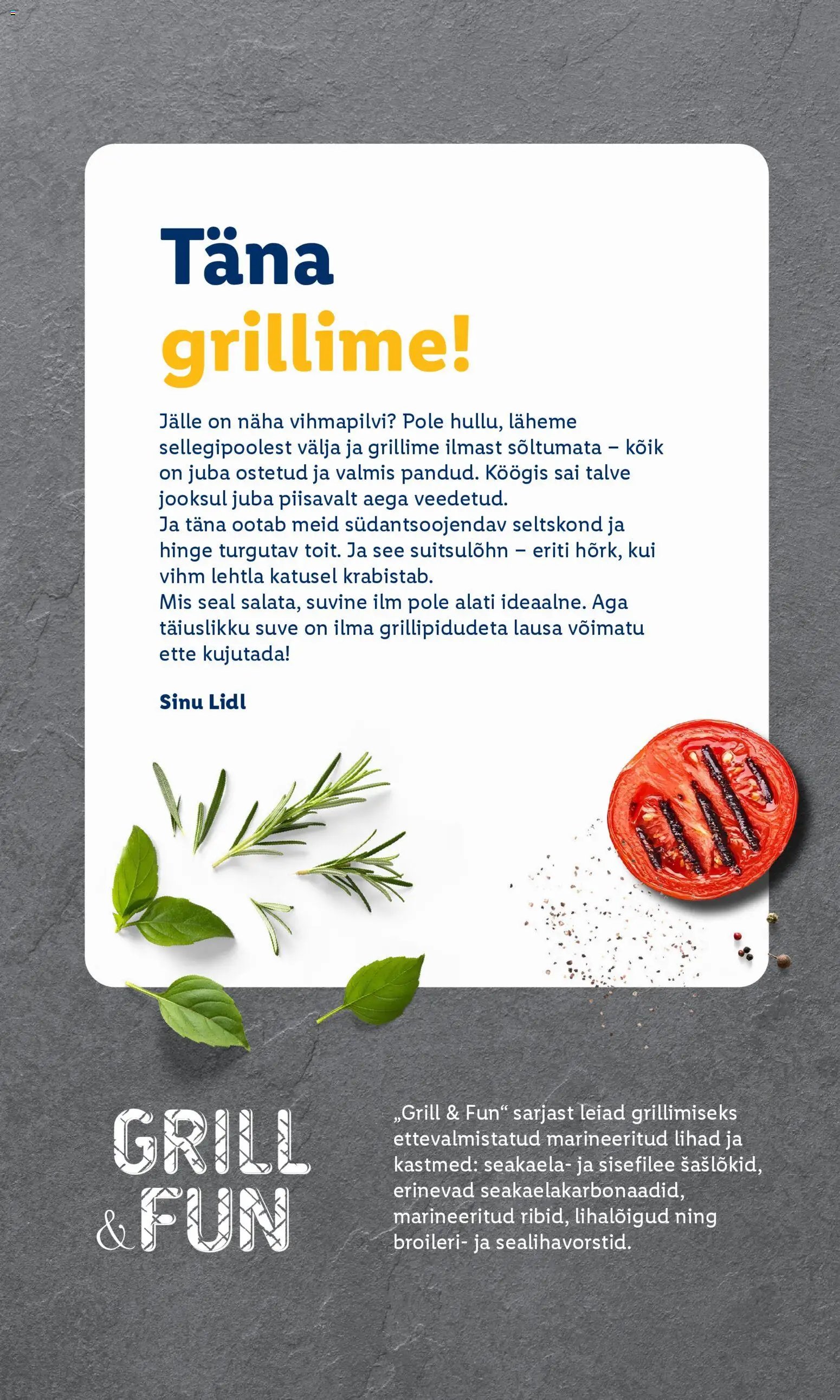 Lidl Grilli kataloog Esmaspaevast