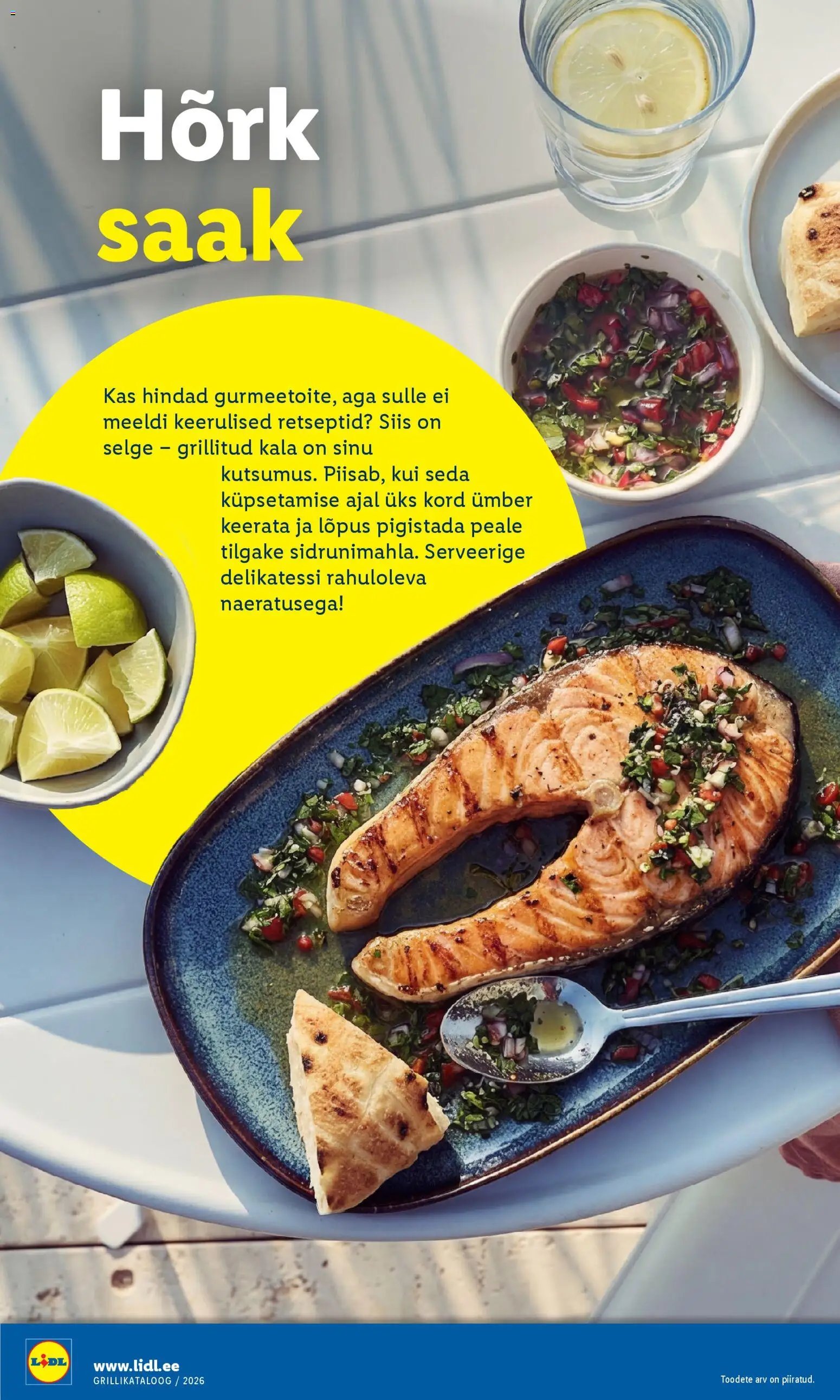 Lidl Grilli kataloog Esmaspaevast