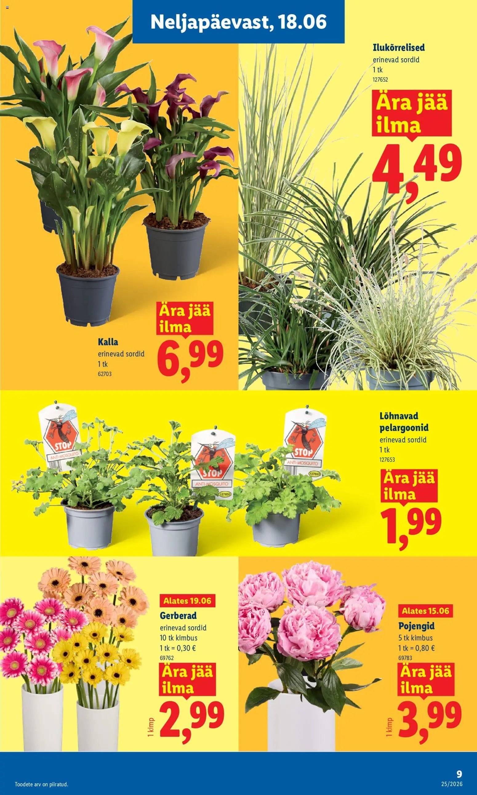 Lidl Kliendileht