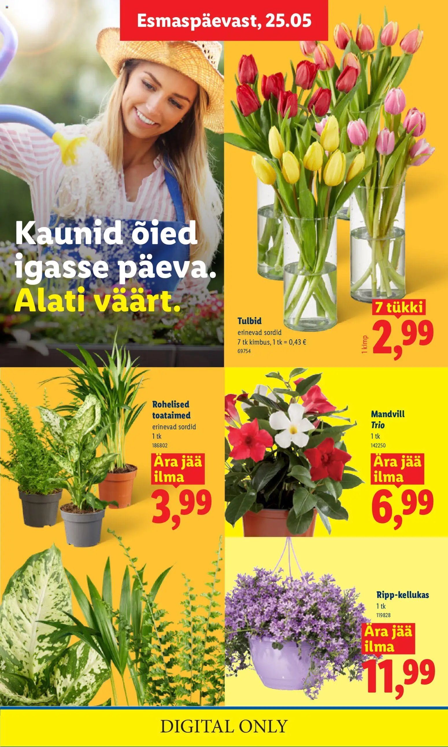 Lidl Kliendileht