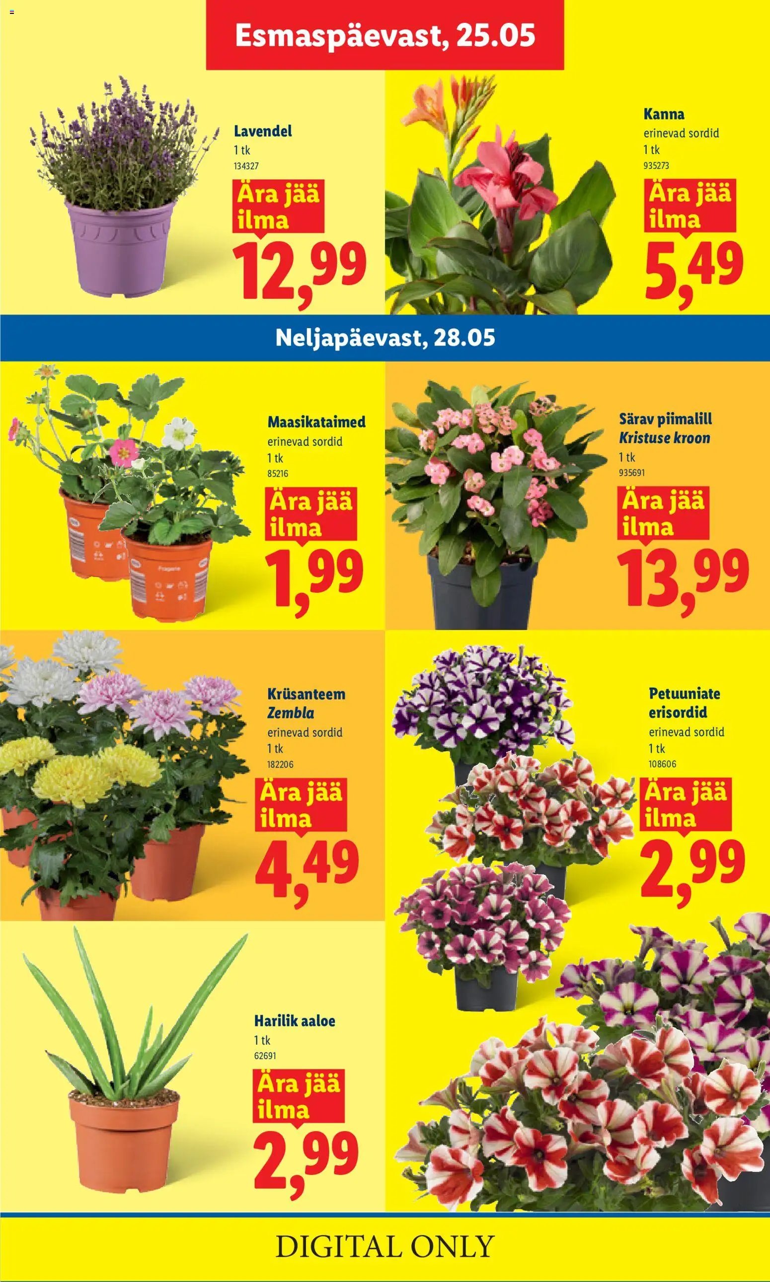 Lidl Kliendileht