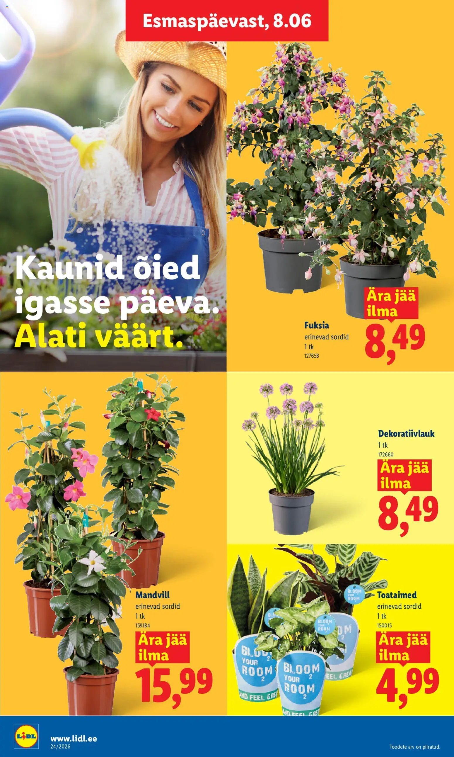 Lidl Kliendileht