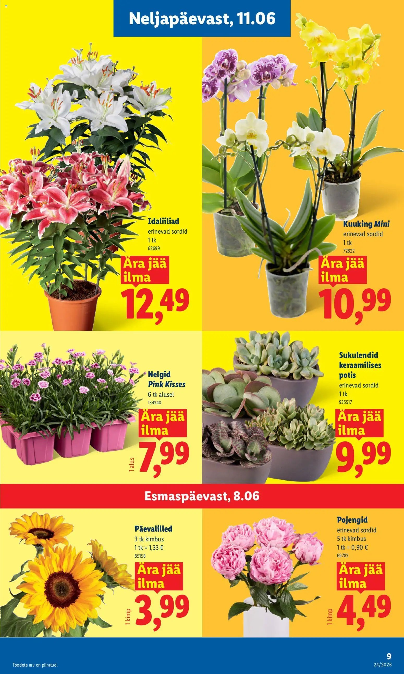 Lidl Kliendileht