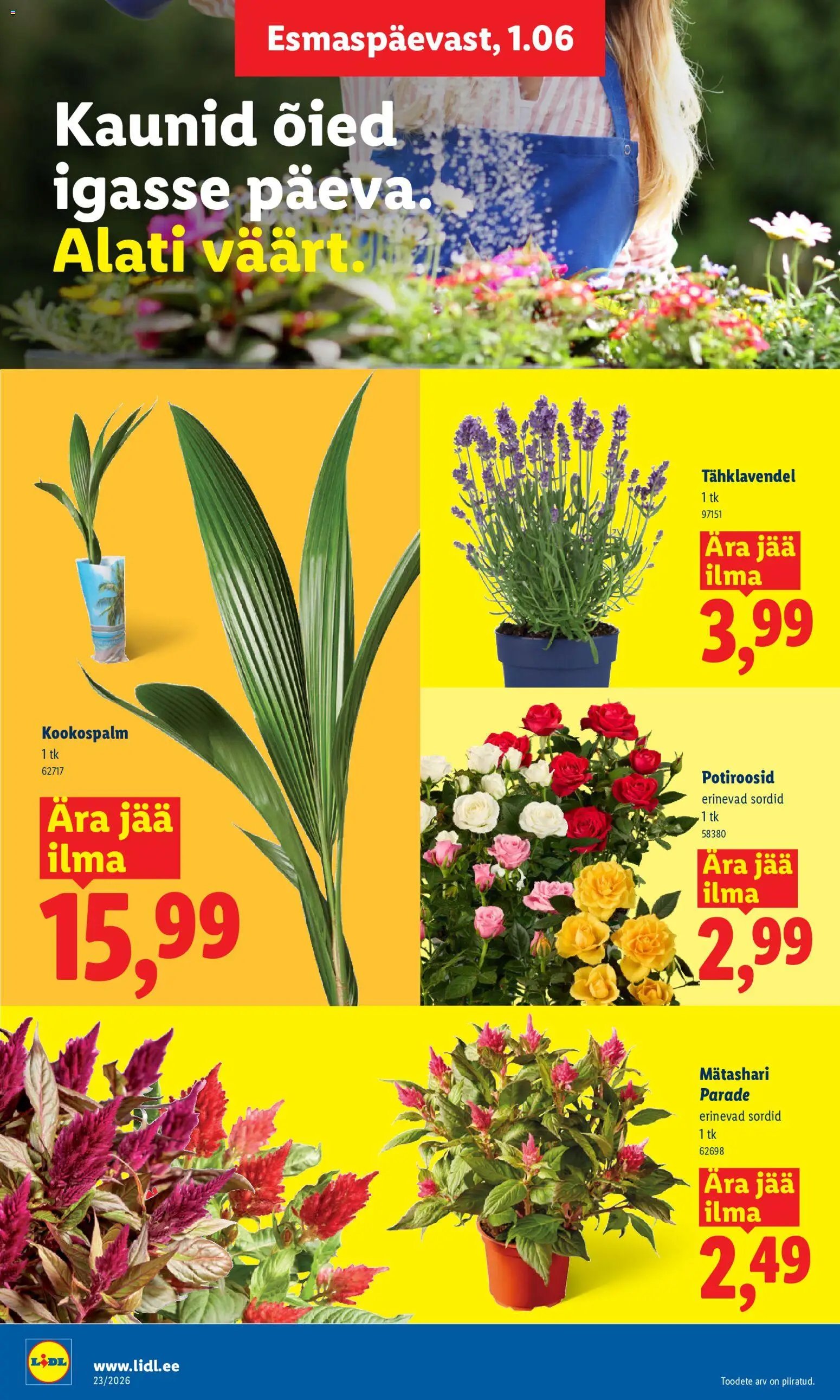 Lidl Kliendileht
