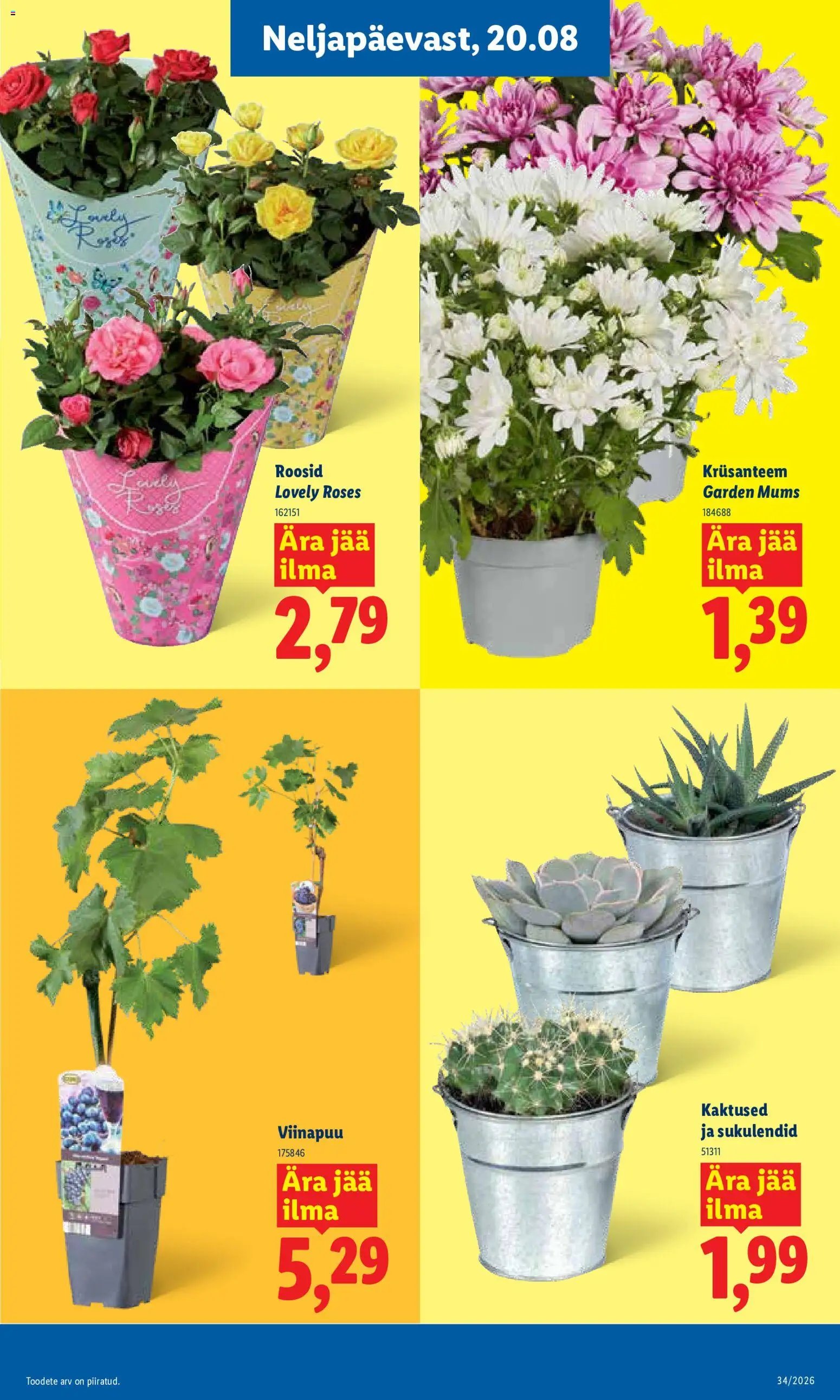 Lidl Kliendileht