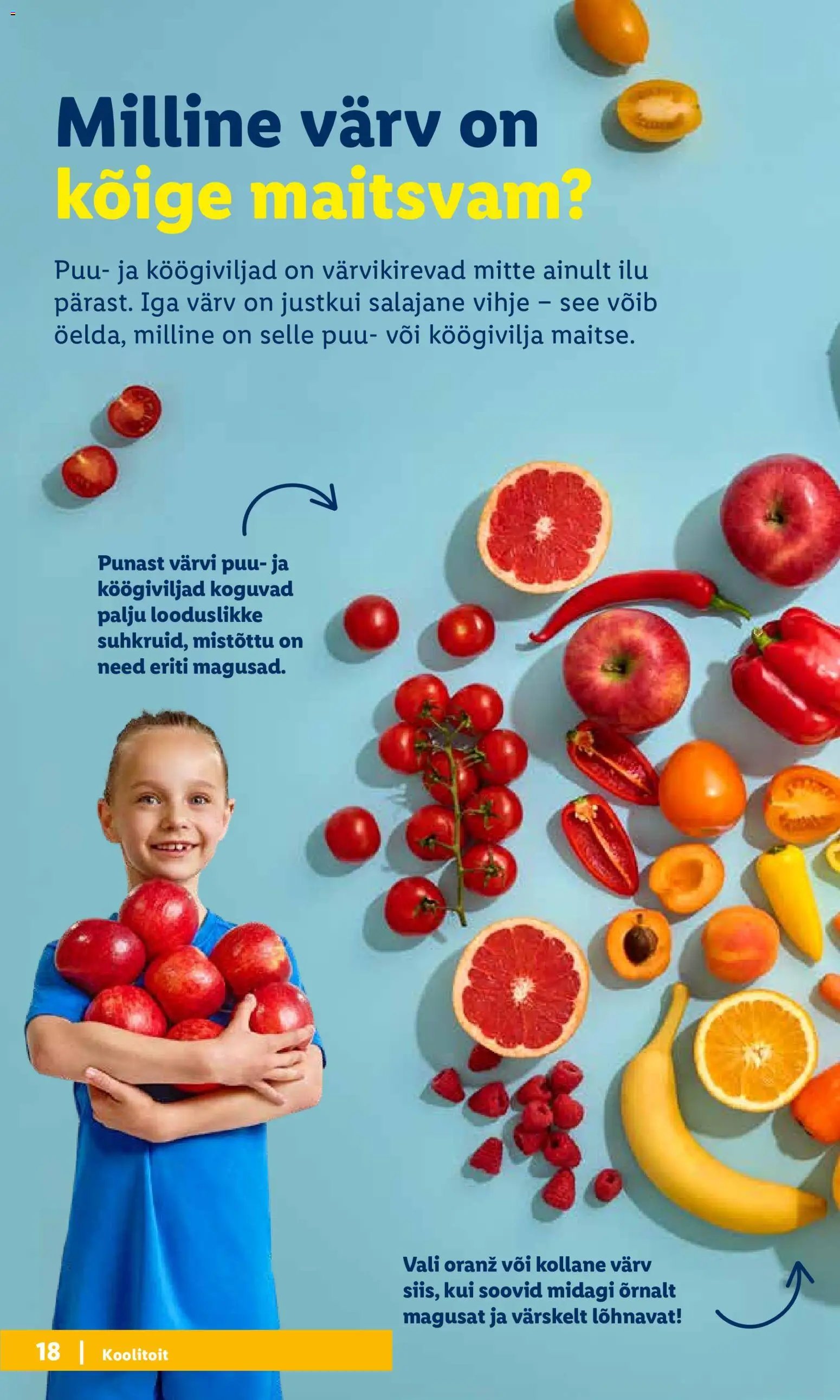 Lidl Koolitarvete kataloog 2026