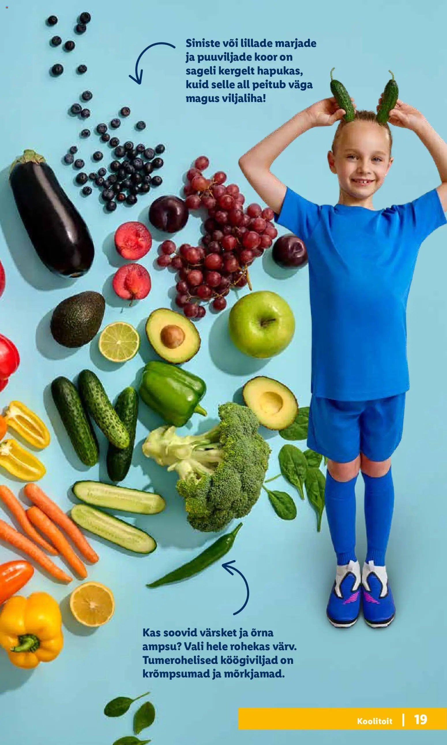 Lidl Koolitarvete kataloog 2026