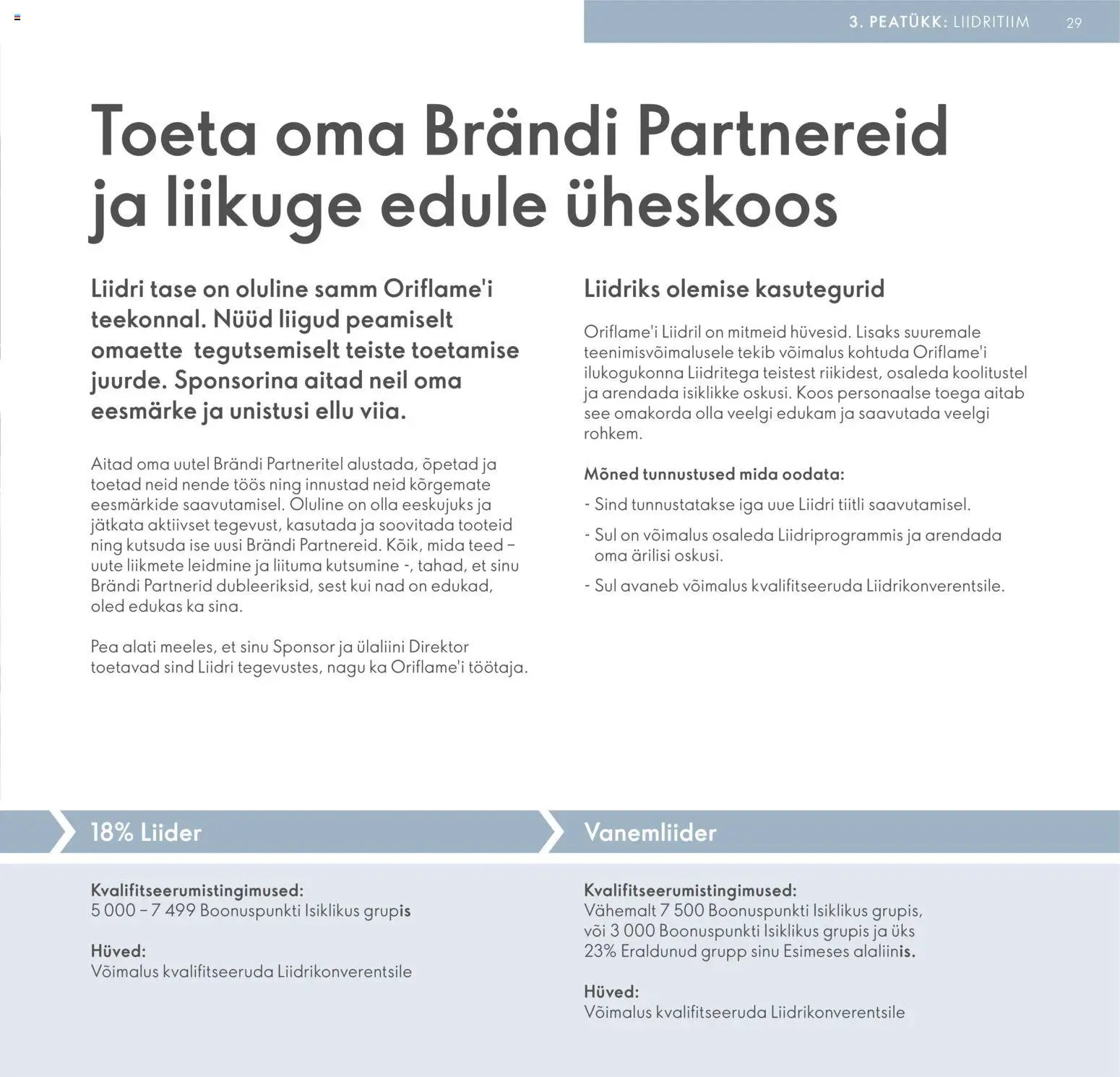 Oriflame Brändi Partneri Preemiaplaan