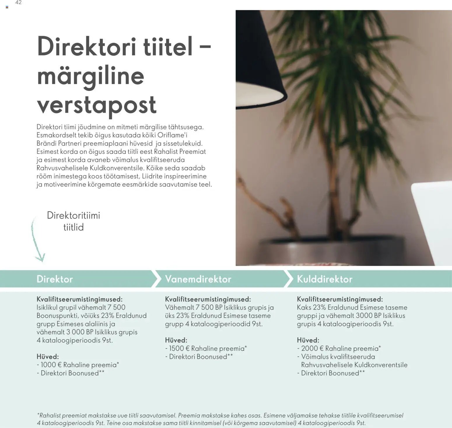 Oriflame Brändi Partneri Preemiaplaan