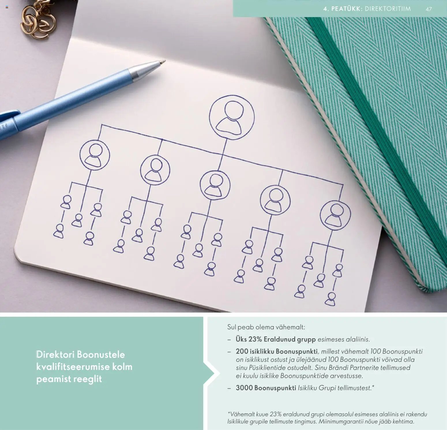 Oriflame Brändi Partneri Preemiaplaan
