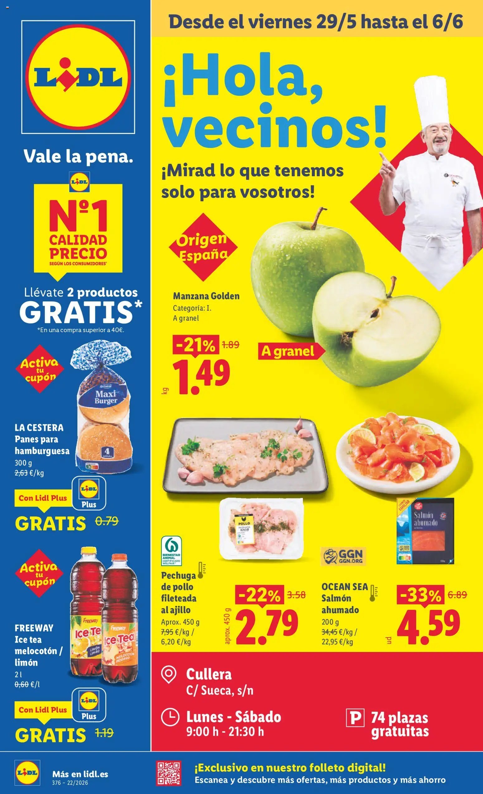 Lidl folleto