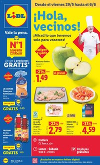 Lidl folleto