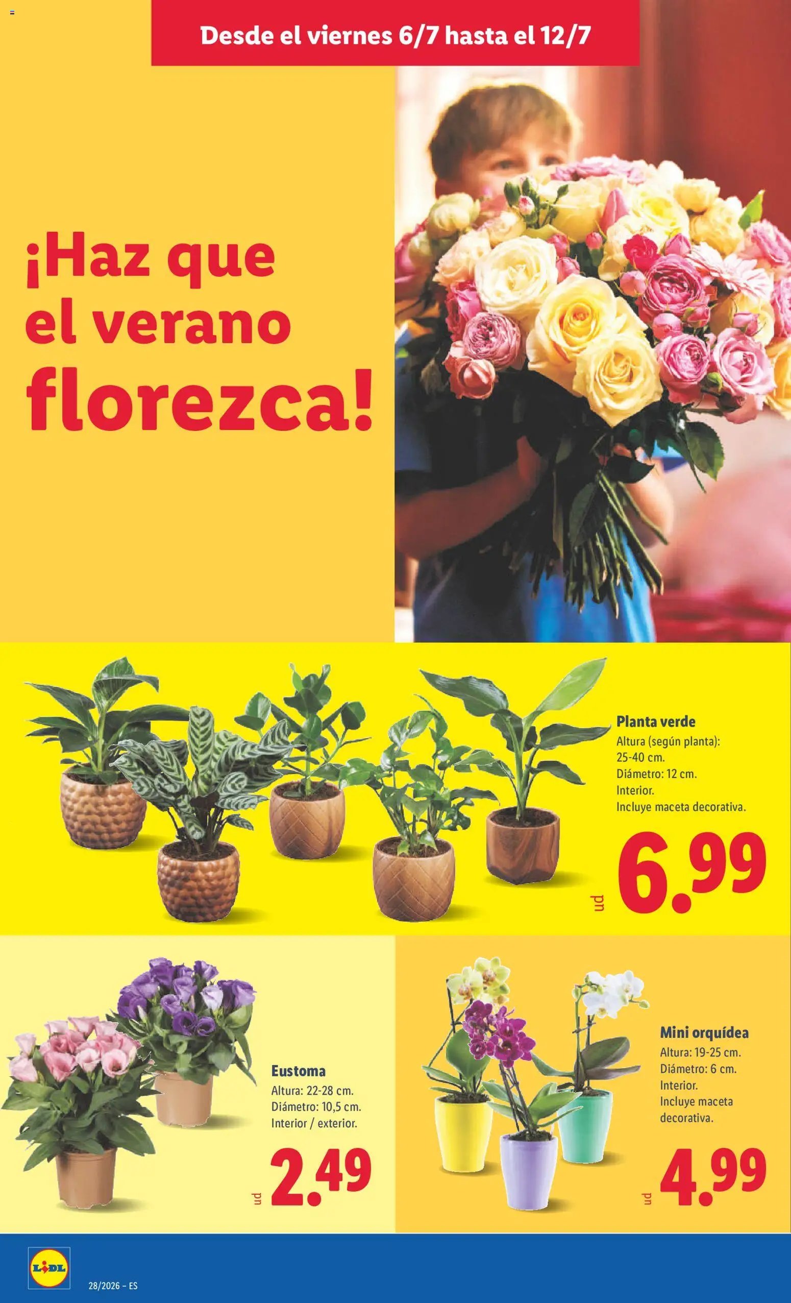 Lidl folleto