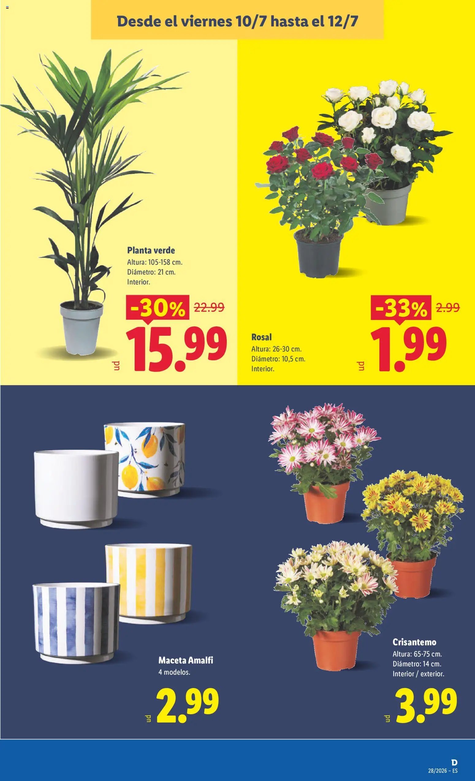 Lidl folleto