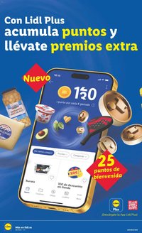 Lidl folleto