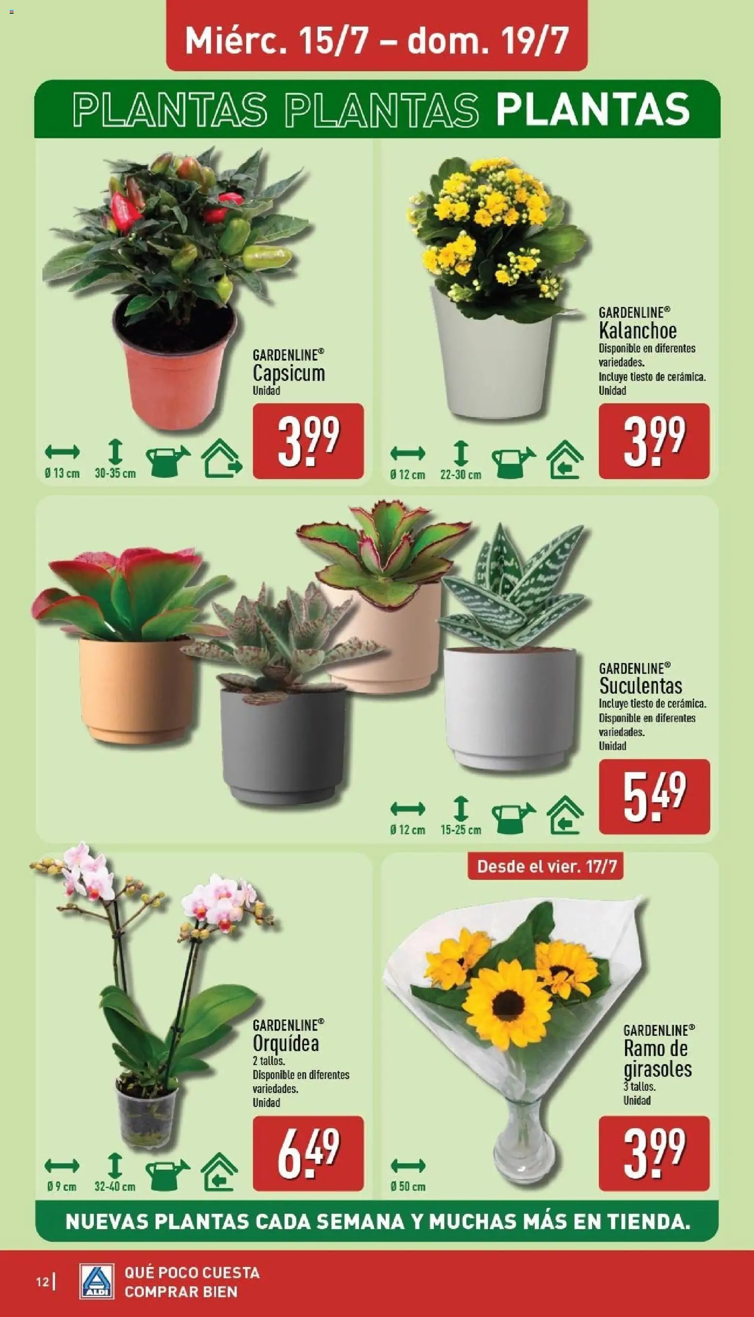 Aldi folleto Baleares