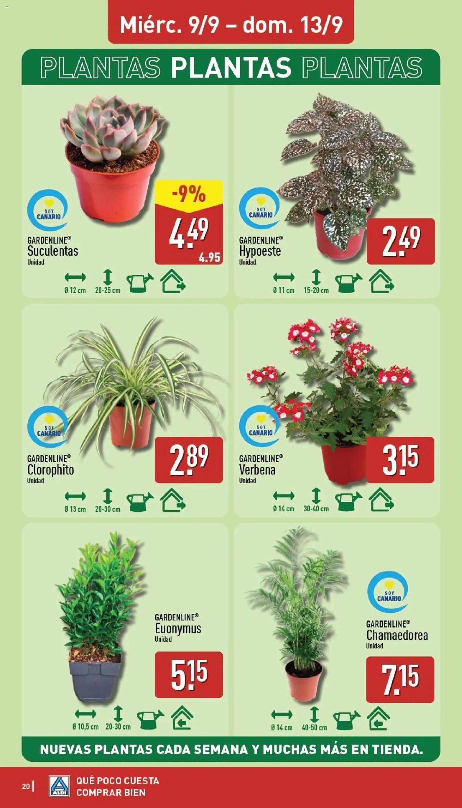 Aldi folleto Canarias