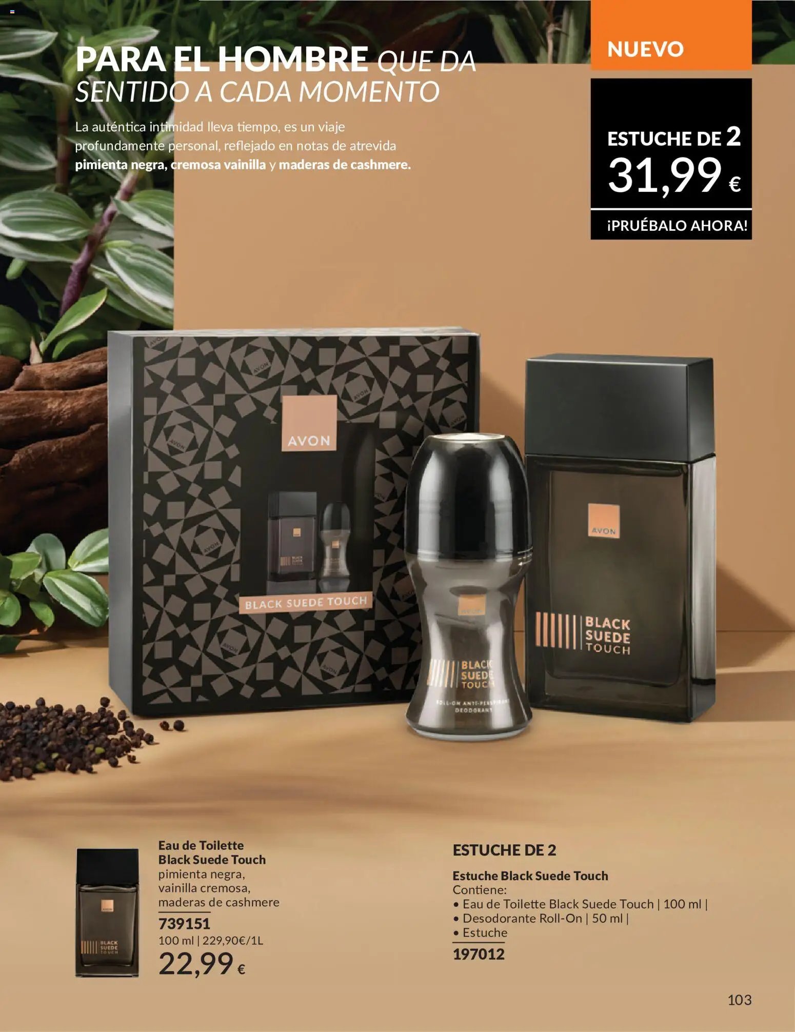 Catálogo AVON campaña 6