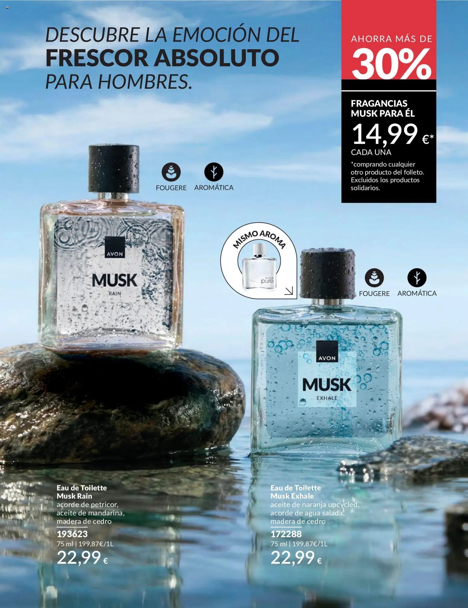 Catálogo AVON campaña 6