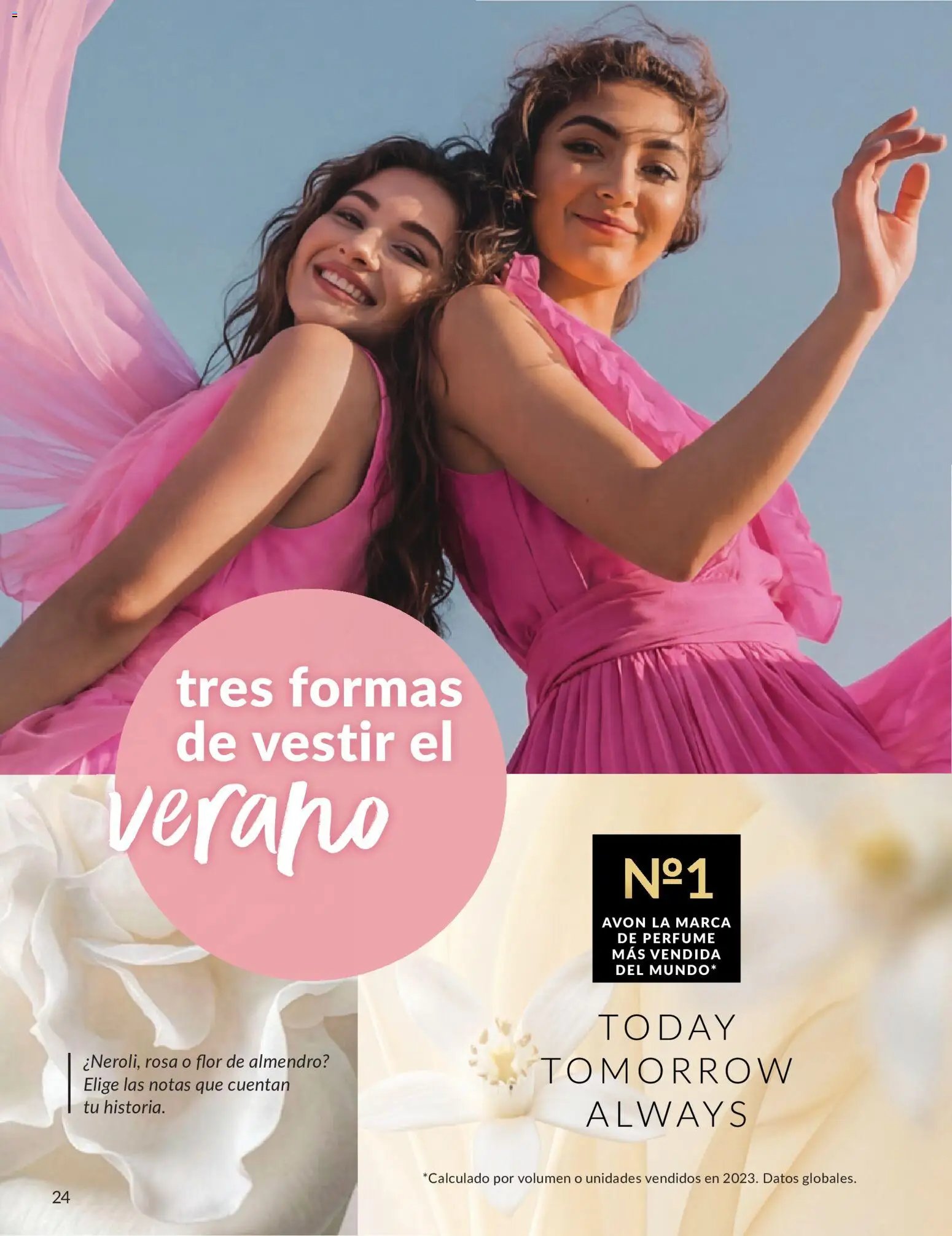 Catálogo AVON campaña 6