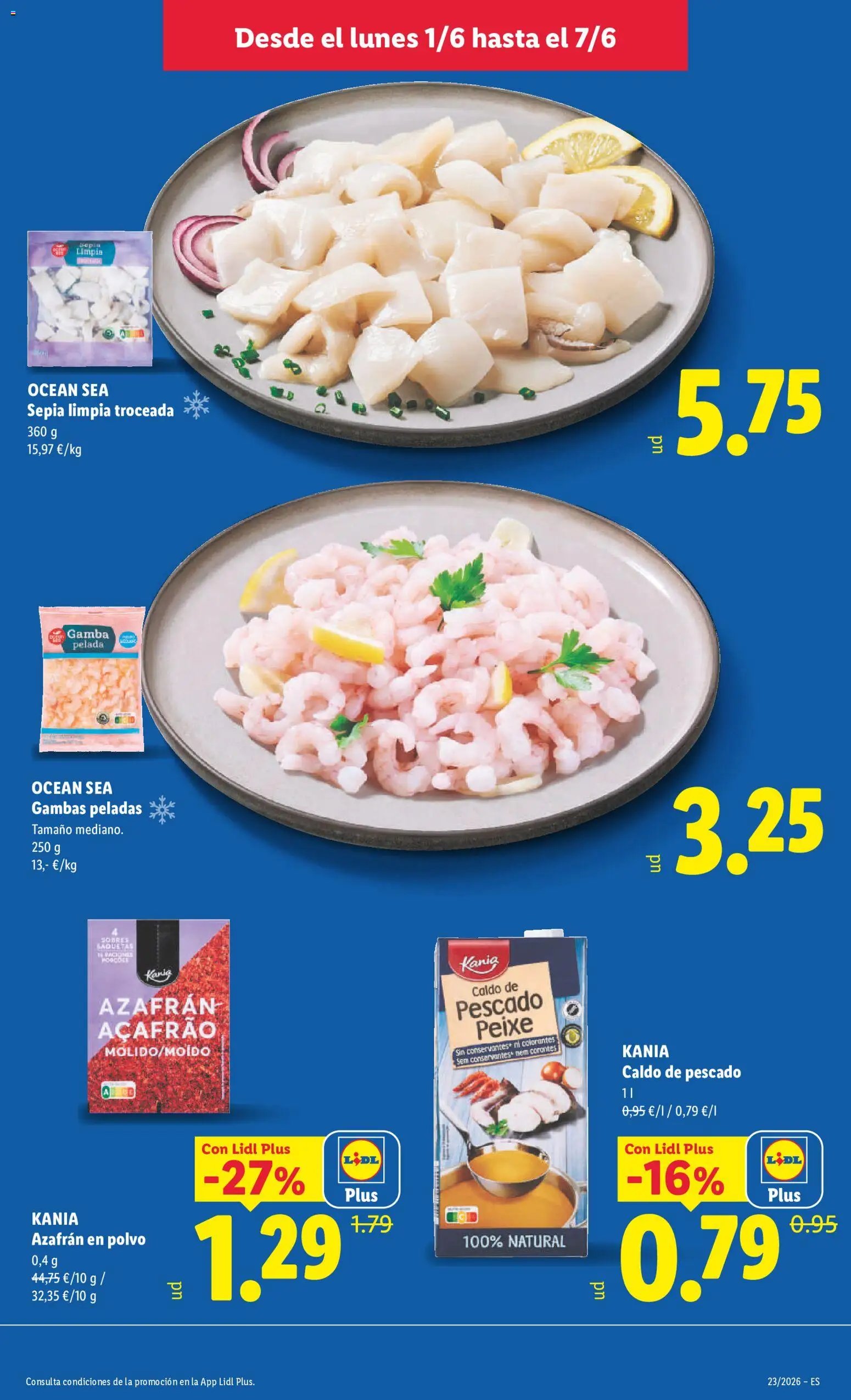 Lidl folleto
