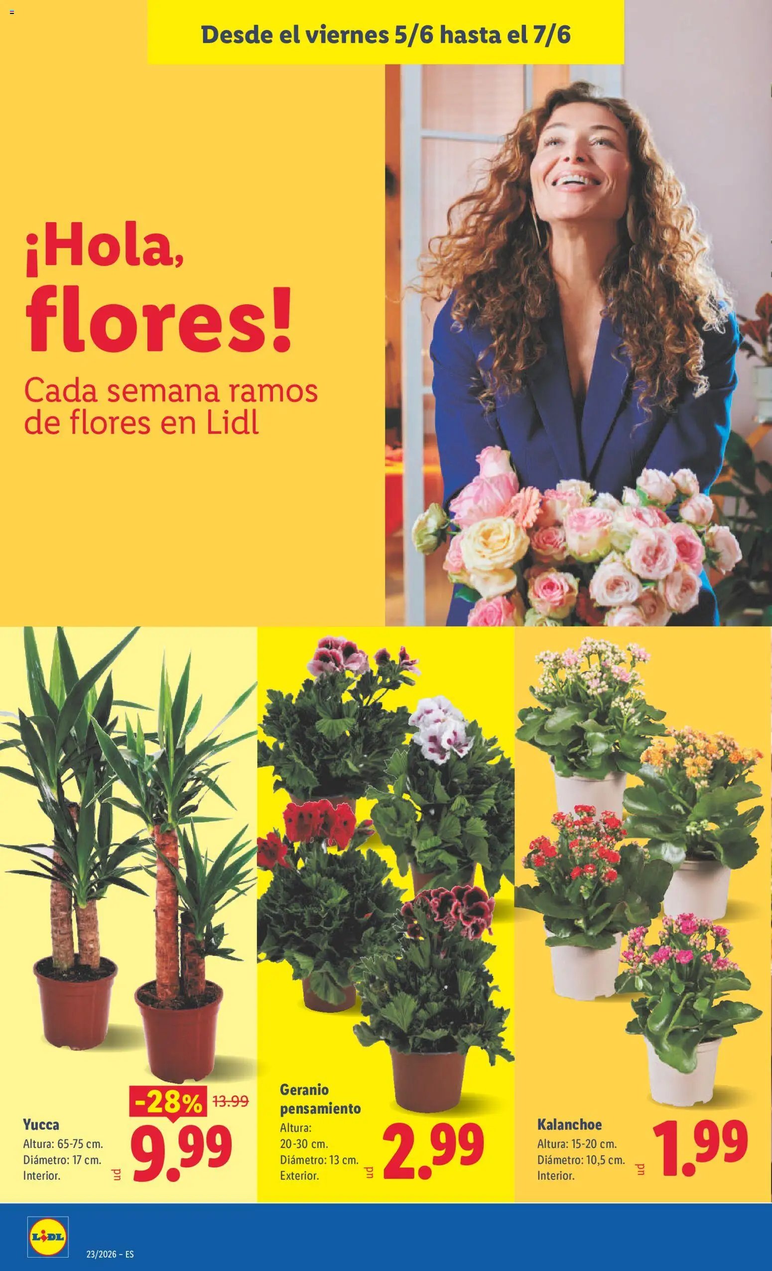 Lidl folleto